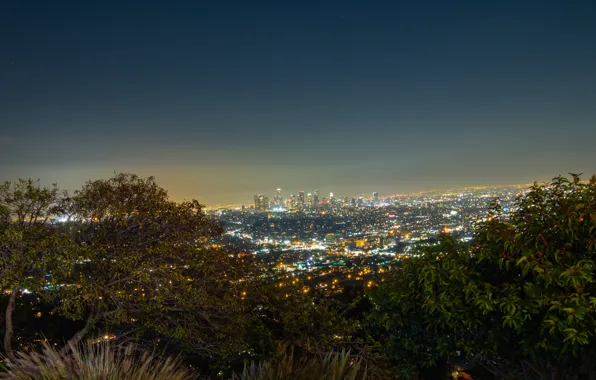Картинка Sky, Night, Los Angeles, Skyline, View, Trees