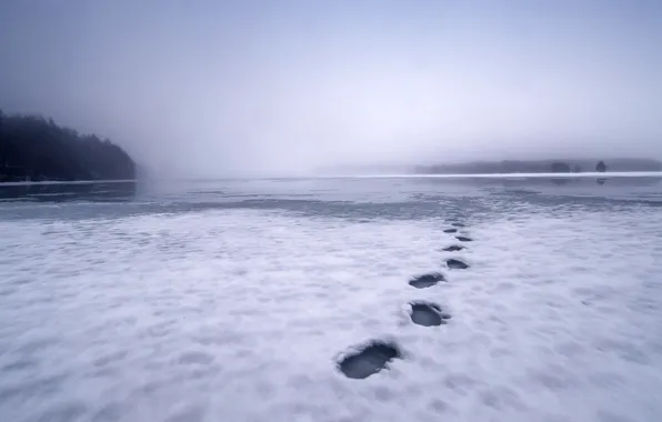 Картинка снег, следы, туман, озеро