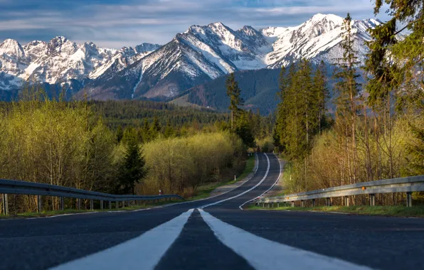Картинка дорога, пейзаж, горы, природа, весна, утро, Польша, леса