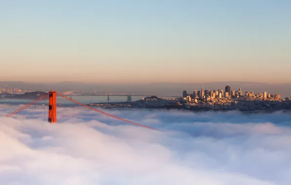 Картинка мост, город, туман, утро, Калифорния, USA, California, San Francisco