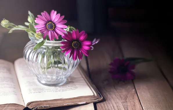 Цветы, фон, книга