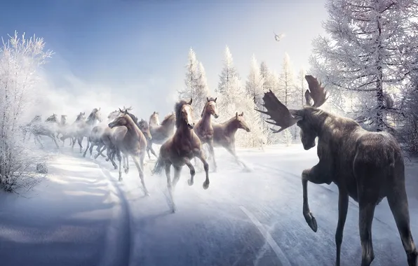 Картинка зима, дорога, снег, птица, лошади, ёлки, лось