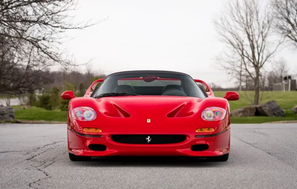 Red, F50, Front view
