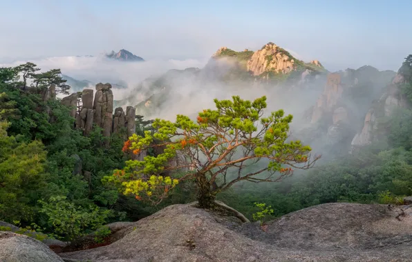 Картинка пейзаж, горы, природа, туман, Южная Корея, заповедник, Dobongsan, Jae youn Ryu