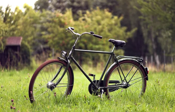 Зелень, трава, велосипед, фон, widescreen, обои, настроения, wallpaper