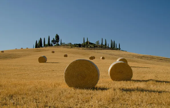 Картинка поле, дом, стог, сено, Италия, кипарисы, Тоскана