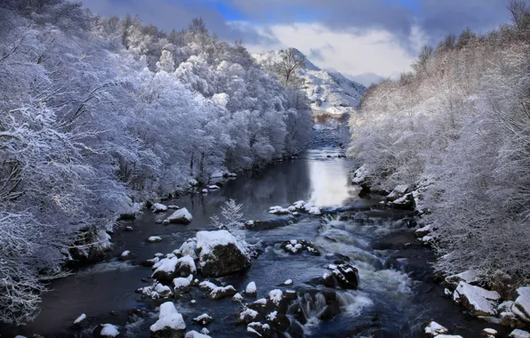 Картинка зима, иней, снег, деревья, пейзаж, горы, природа, река