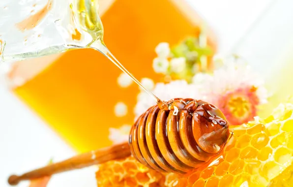 Картинка цветы, соты, мёд, Honey dipper