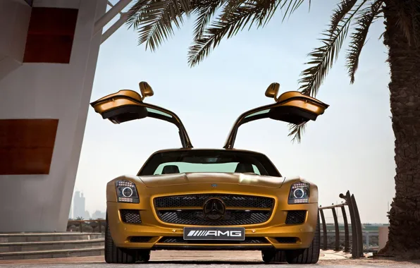 Пальма, Двери, Ступеньки, Золотой, SLS AMG Desert Gold Edition, Mercedes Benz