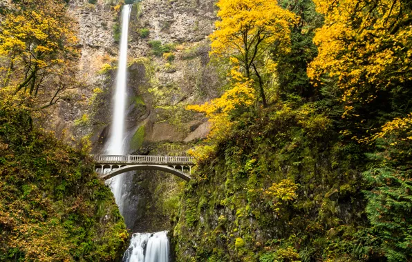 Картинка осень, лес, деревья, мост, река, водопад, поток, сша