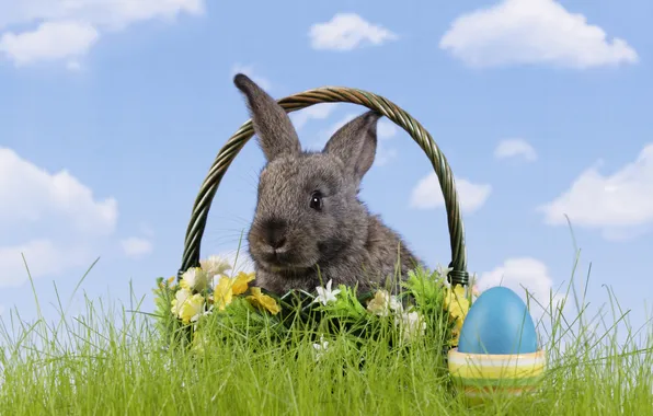 Картинка трава, цветы, корзина, яйцо, кролик, пасха, easter