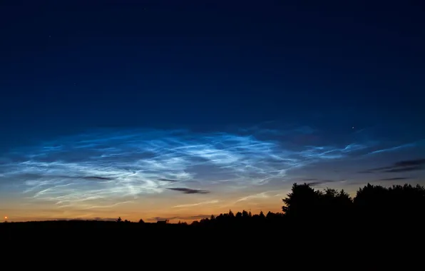 Лес, небо, облака, деревья, закат