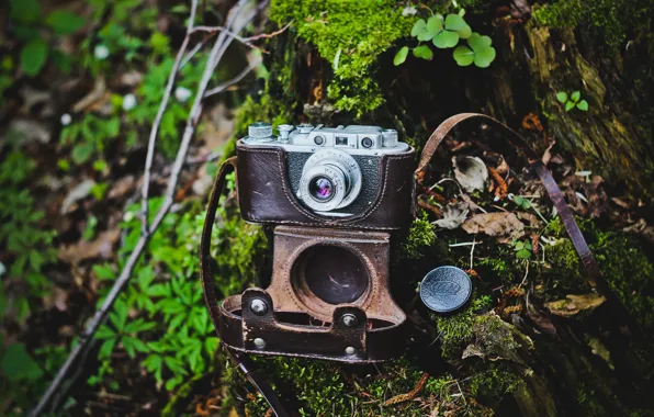 Camera, боке, ussr, fed