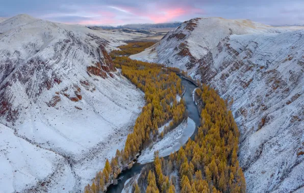 Russia, Altai Republic, Kyzylshin River valley