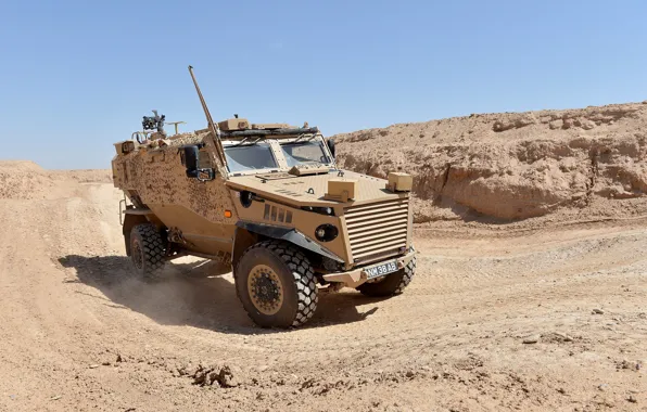 Weapon, armored, military vehicle, armored vehicle, armed forces, military power, war materiel, 079