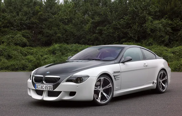 BMW, Schnitzer, Tension, 6-я серия