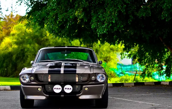 Картинка ford, shelby, gt500, classic, eleanor, american, exotic