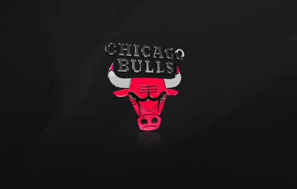 Черный, Чикаго, Баскетбол, Логотип, NBA, Chicago Bulls, Быки
