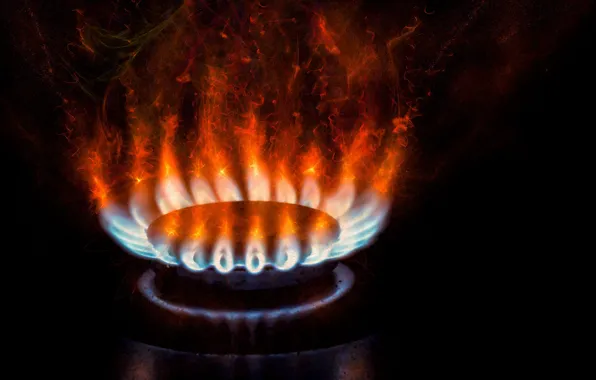Огонь, комфорка, Gas, Burner