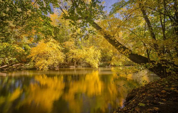 Осень, озеро, река, жёлтые листья