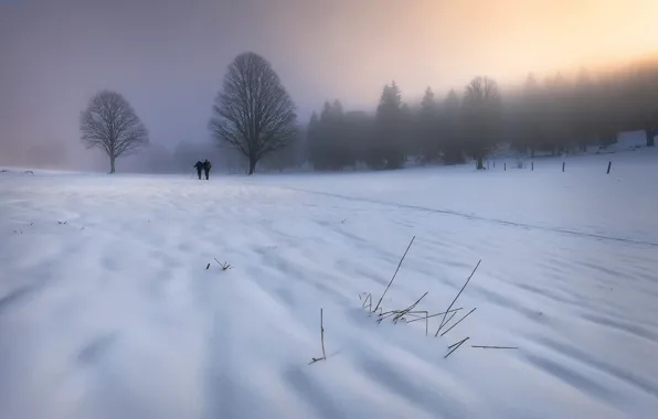 Картинка зима, снег, туман, утро, прогулка