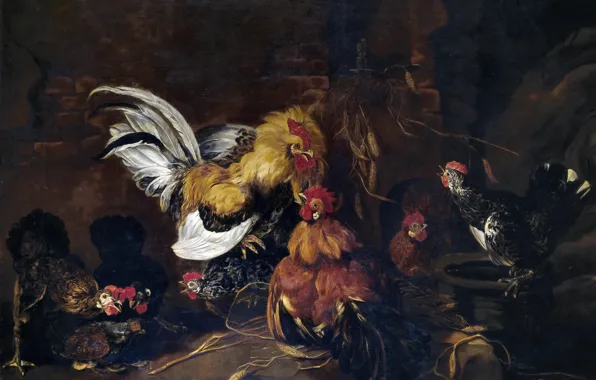 Картинка птицы, картина, быт, жанровая, Ян Фейт, Петушиный Бой