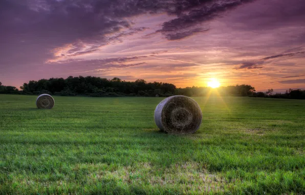 Картинка поле, трава, солнце, закат, сено