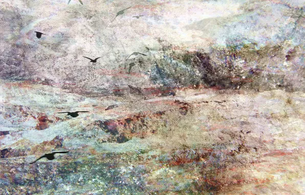 Картинка море, птицы, утро, Morning, Bernadette Tuffs