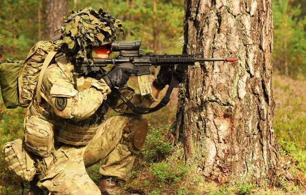 Картинка оружие, солдат, Danish Army