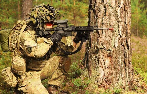 Оружие, солдат, Danish Army