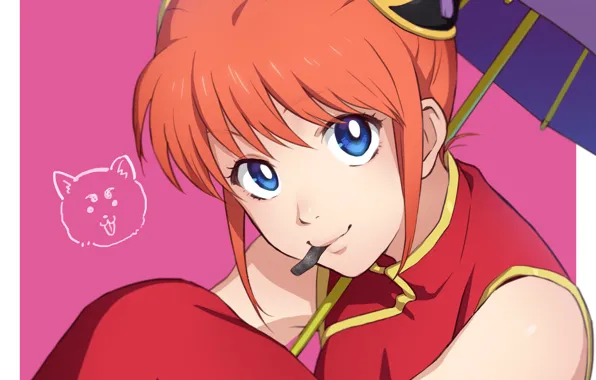 Девушка, Gintama, Гинтама, Кагура