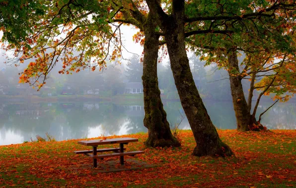 Картинка осень, лес, деревья, пейзаж, вилла, дома, Природа, house