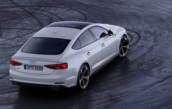 Audi, сзади, Audi A5, 2019, S5 Sportback