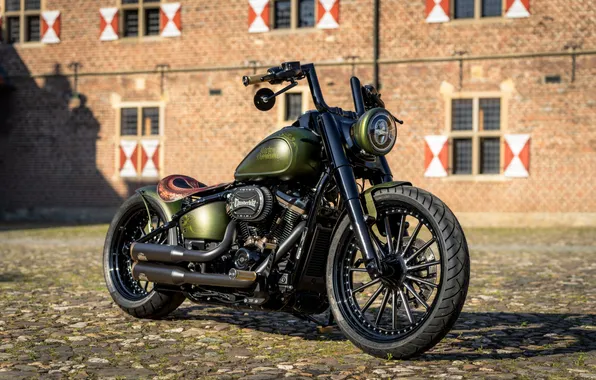 Картинка Classic, Front, Harley-Davidson, Tuning, Softail, Heritage, Customized, Thunderbike