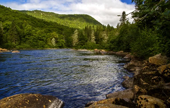 Лес, деревья, горы, река, камни, Канада, Quebec, Jacques Cartier national park