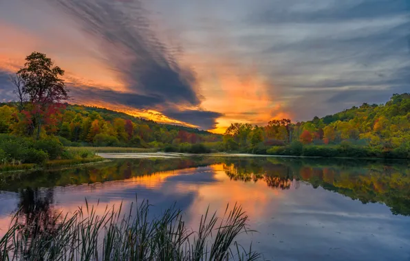 Картинка осень, лес, озеро, восход, рассвет, утро, Пенсильвания, Pennsylvania