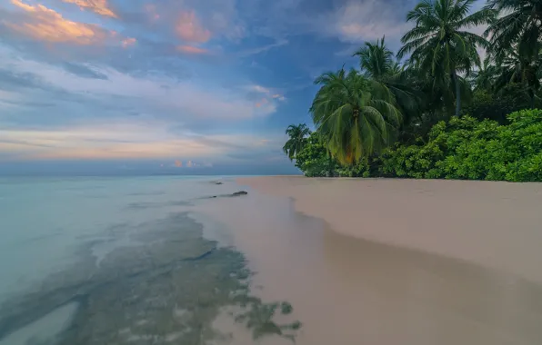 Море, пляж, лето, пейзаж, тропики, пальмы, голубая вода