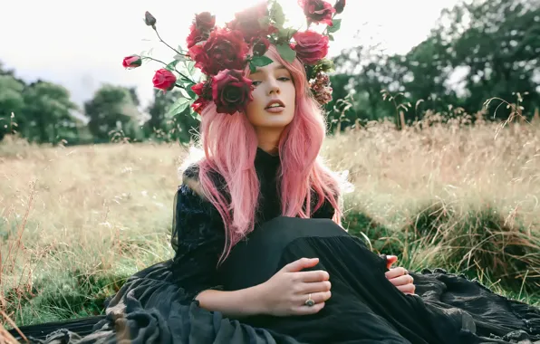 Девушка, розы, розовые волосы, Alexandra Cameron