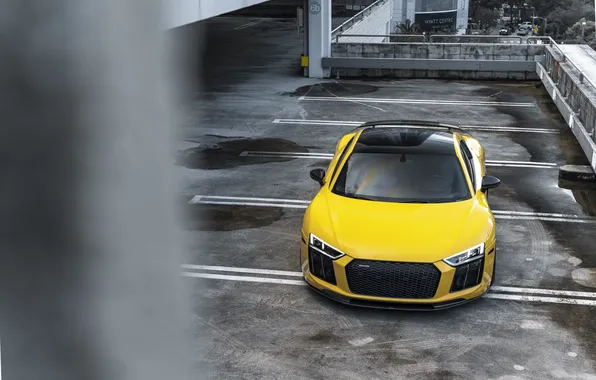 Car, Audi