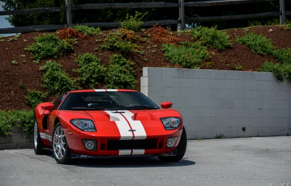 Картинка Ford, Red, Stripes