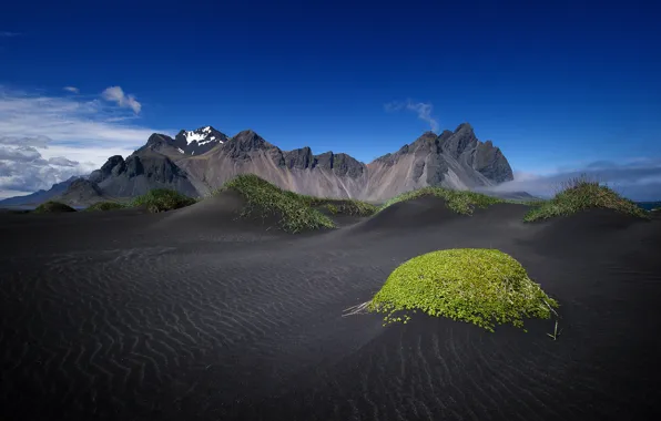 Картинка небо, трава, горы, Исландия, Vestrahorn, Stockksness, чёрный песок