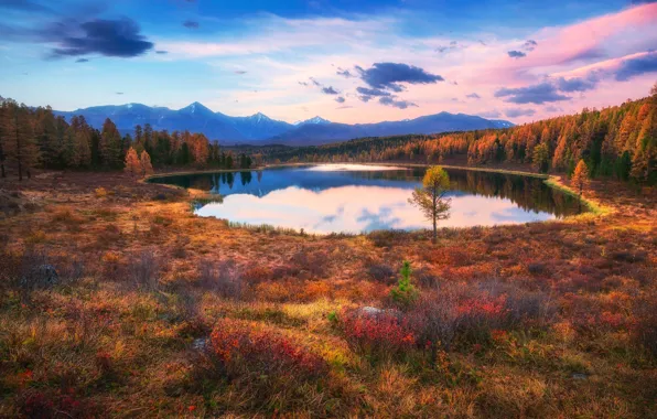 Картинка осень, небо, озеро, краски, Россия, леса
