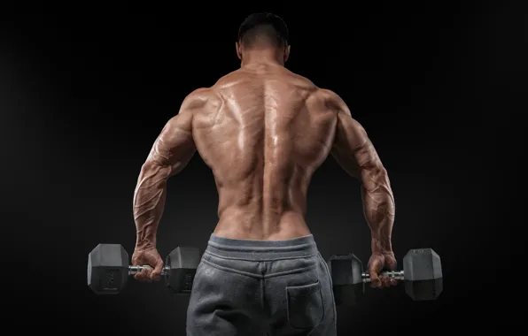 Men, muscular, bare back