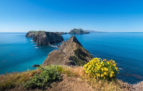 Вода, берег, растительность, водоём, Anacapa Island