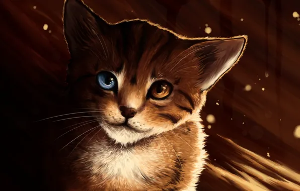 Картинка кошка, кот, морда, арт, рыжий, котэ, разные глаза, lucity