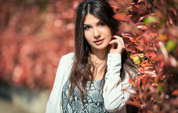 Взгляд, девушка, волосы, портрет, брюнетка, боке, Daniela