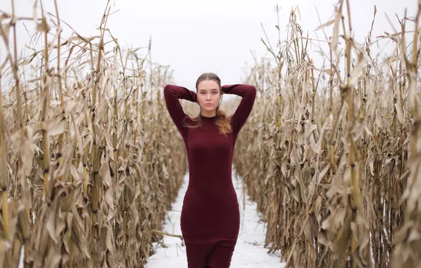 Girl, dress, field, model, corn, sweetheart