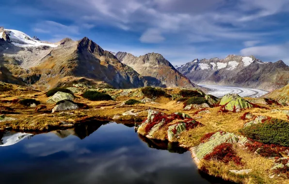 Дорога, пейзаж, горы, природа, озеро, Швейцария, ледник, Алечский ледник