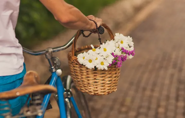 Bicycle, vintage, flowers, street, romance, daisy, basket