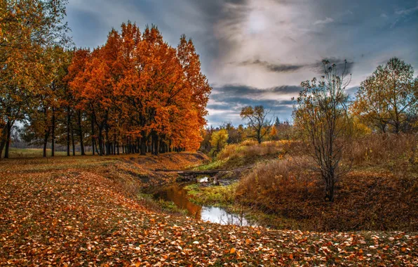 Осень, пейзаж, природа, парк, ручей